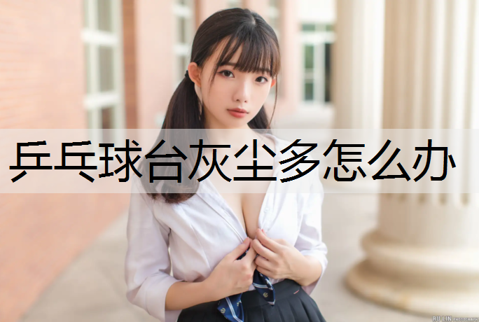 乒乓球台灰尘多怎么办