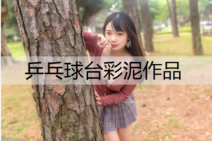 乒乓球台彩泥作品