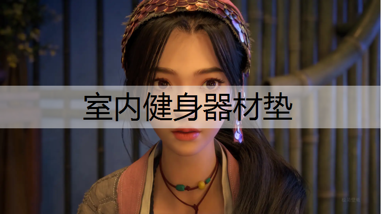 室内健身器材垫