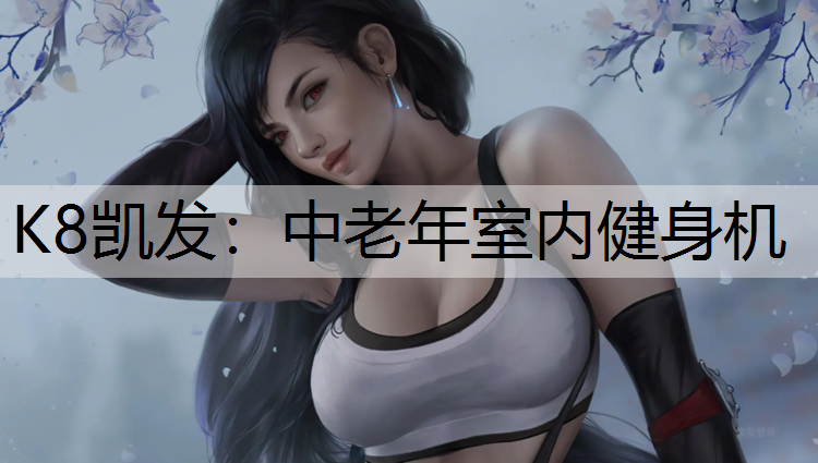 K8凯发：中老年室内健身机