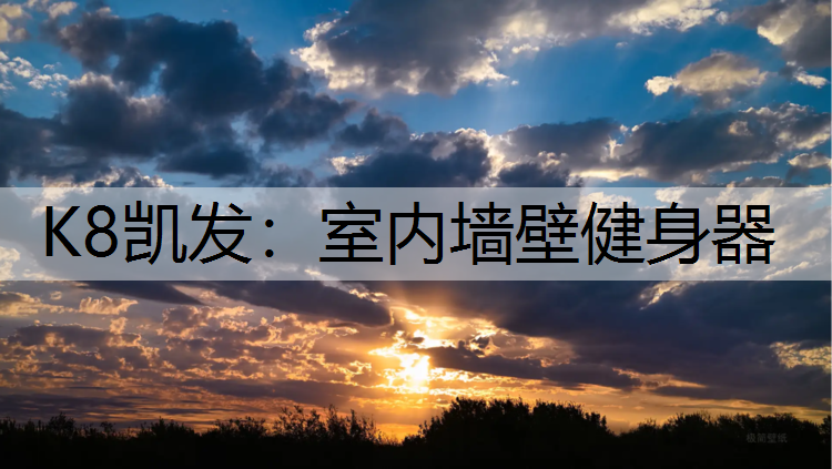 K8凯发：室内墙壁健身器