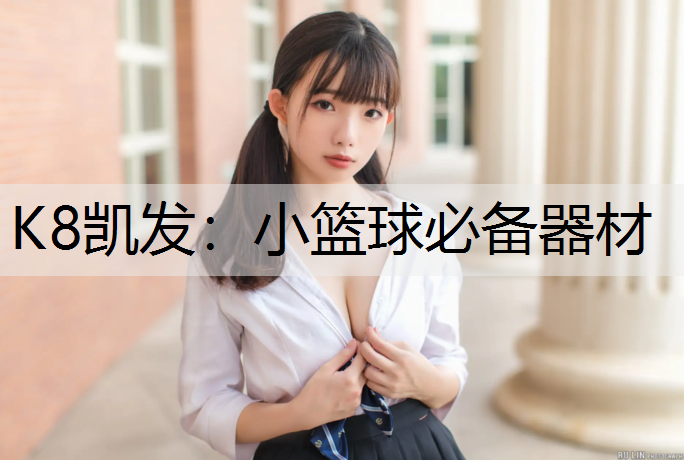 K8凯发：小篮球必备器材