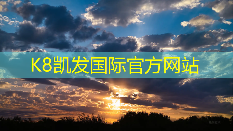 k8凯发官网入口：无主之地2火焰网球网