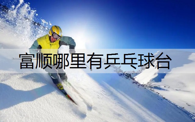富顺哪里有乒乓球台