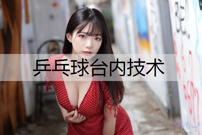 乒乓球台内技术