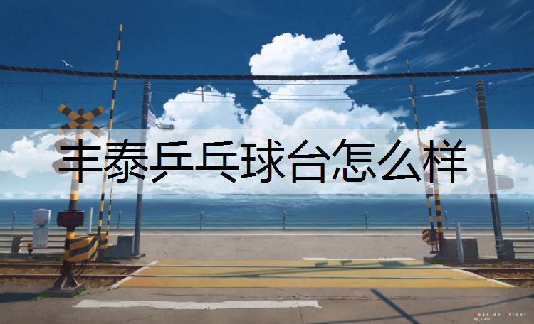 丰泰乒乓球台怎么样