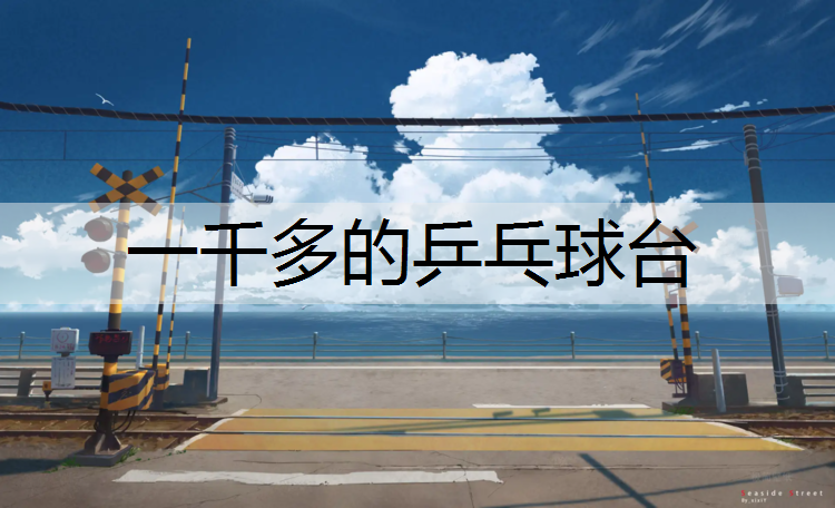 一千多的乒乓球台
