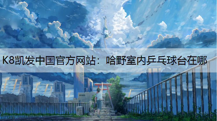 哈野室内乒乓球台在哪