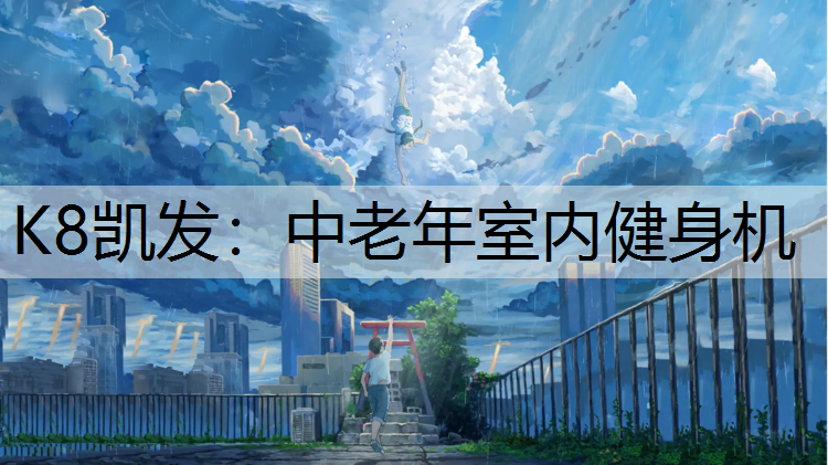 中老年室内健身机