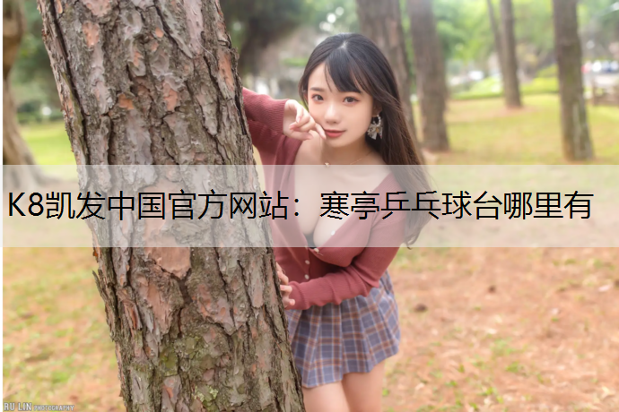 寒亭乒乓球台哪里有