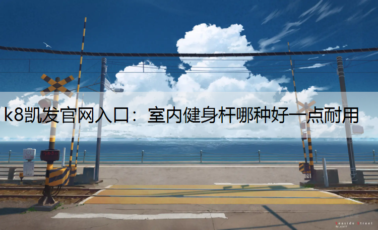 室内健身杆哪种好一点耐用